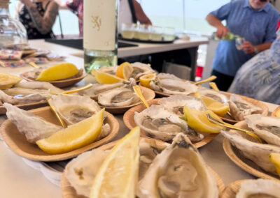 Scarlet Lady oyster tour