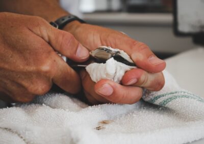 sip-and-shuck-oyster-cruise6