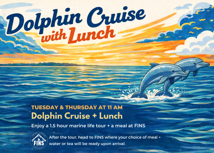 dolphin and lunch(1600 x 1000 px) (1)